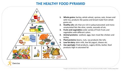 What Is Healthy Eating Diet Or Balanced Diet Watch What U Eat