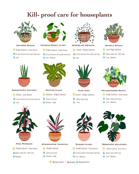 Houseplant Guide Plant Care Guide Beginner Plant Chart Etsy