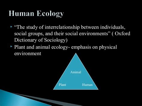 Amos Hawley Ecological Theory