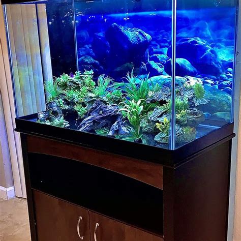 65 Gallon Aquarium Wcabinet And Accessories For Sale In West Palm