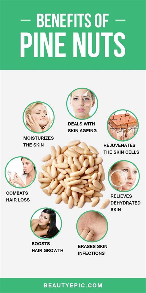 9 Amazing Health Benefits Of Pine Nuts Chilgoza Nuts Health
