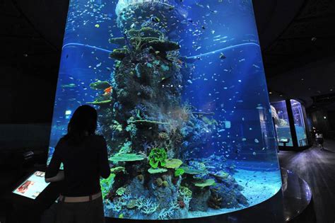 Worlds Largest Oceanarium To Open Soon In Singapore 6
