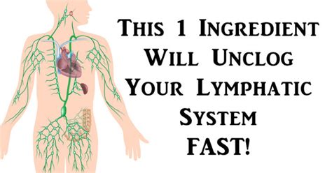 This 1 Ingredient Will Unclog Your Lymphatic System Fast David
