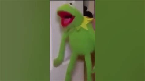 Kermit Got Moved Youtube