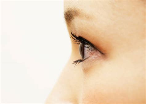 Top 60 Eyes Side View Stock Photos Pictures And Images Istock