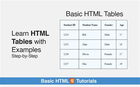 Html Tables Complete With Examples Webcodzing