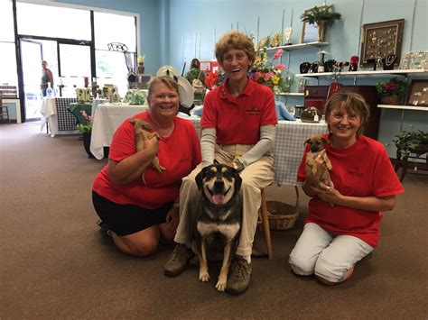 The Big Flea - Humane Society of South Coastal Georgia