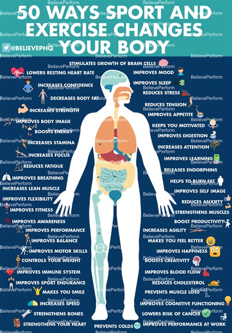50 Ways Sport And Exercise Changes Your Body Believeperform The Uk