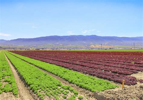 Salinas Valley California Vast Fields Of Agriculture Wit Flickr