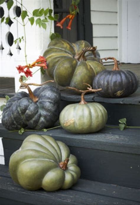 Odd Shaped Imperfect Pumpkins Squash And Gourds Yes To This For Fall