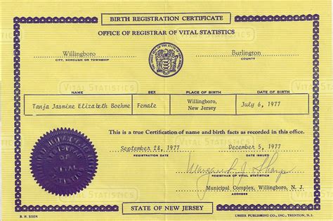 Everything You Need To Know About New Jersey Business Registry
