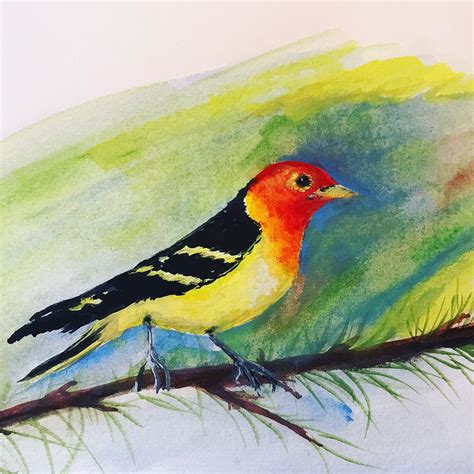 Western Tanager Watercolor Painting By Carolyn Soma Shoemaker Fine