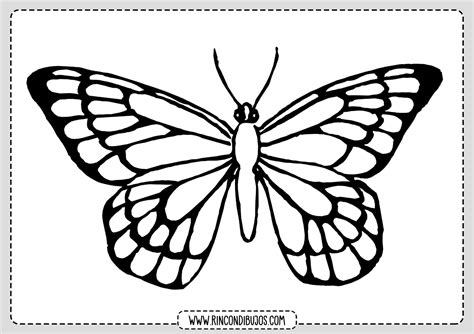 Dibujos De Mariposas Para Pintar Y Colorear Dibujos Para Imprimir Y