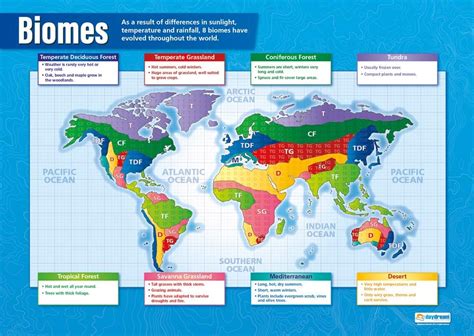 Biomes Geography Posters Gloss Paper Measuring 850mm X 594mm A1