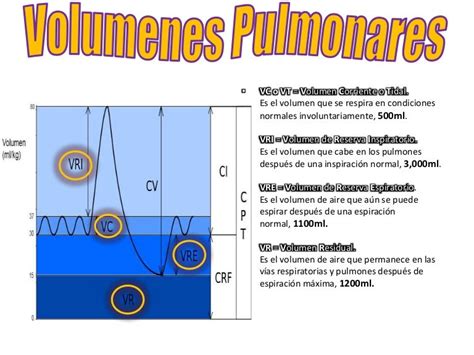 Tabla De Volumenes Y Capacidades Pulmonares