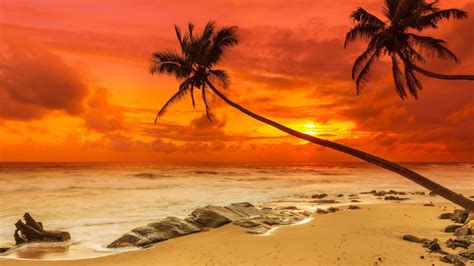 30 Hd Sunset Wallpapers Backgrounds Images Design Trends Premium