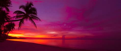 Tropical Sunset Br