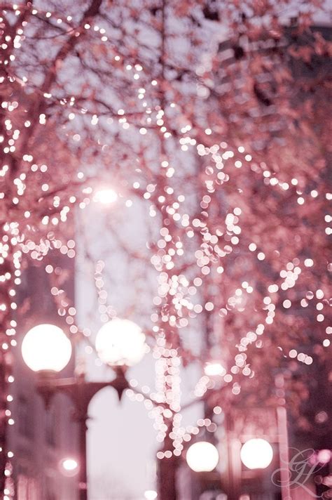 Beautiful Pink Tree Lights © Georgianna Lane Photography