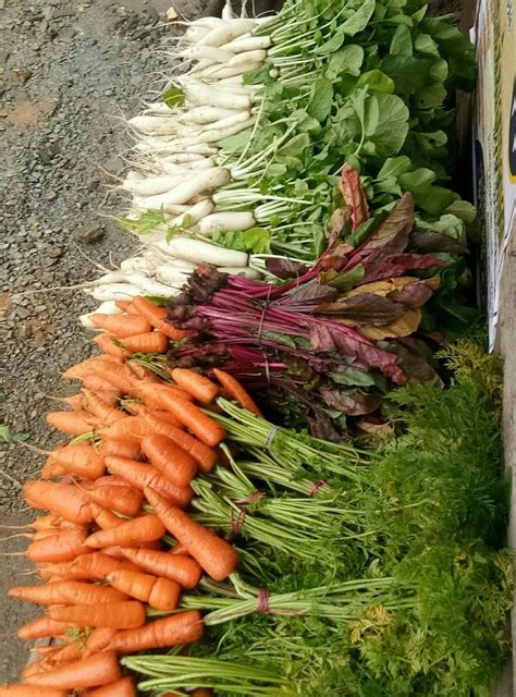 Fresh Vegetables Wholesale Price And Mandi Rate For Fresh Vegetables