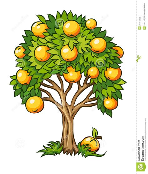 Fruit Tree Clipart Fruit Tree Isolated 25915852  Tree Drawing