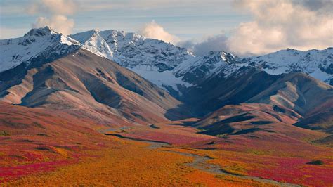 Denali National Park Mountain View In Alaska United States Wallpaper