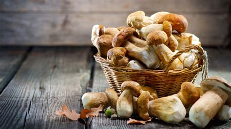How To Tell If Your Mushrooms Have Gone Bad