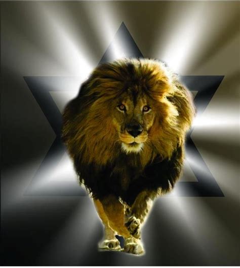 The Lyon Of Judah The Lion Of Judah Was The Symbol Of The Israelite