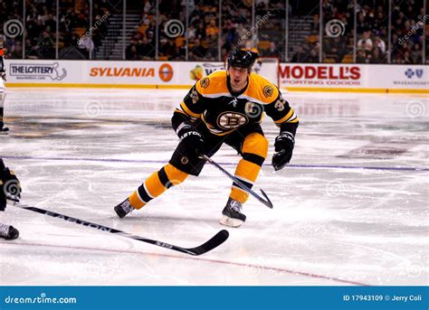 Zdeno Chara 33 Boston Bruins Editorial Stock Image Image Of Republic