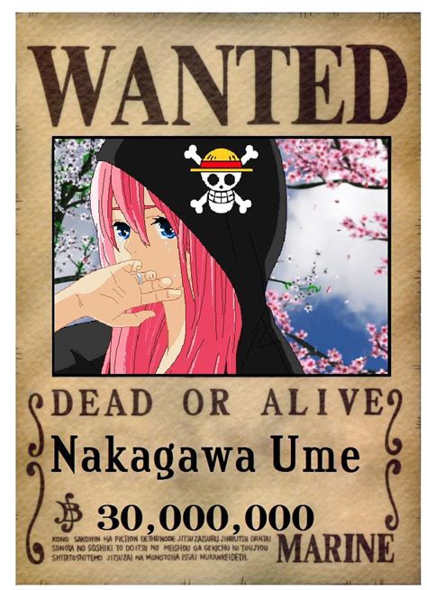 Wanted Poster One Piece Wallpapers Wallpaper Cave