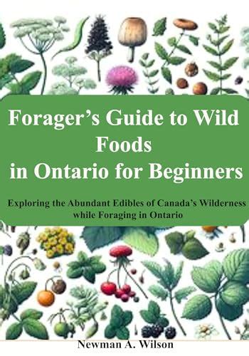 Foragers Guide To Wild Foods In Ontario For Beginners Exploring The