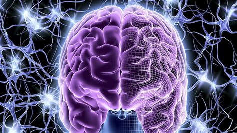 Hd Wallpaper Anatomy Brain D Digital Head Medical Psychedelic