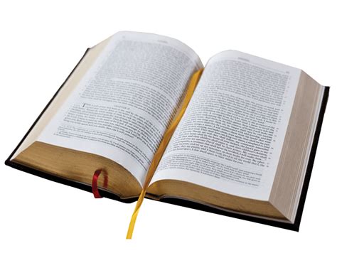 Biblia Abierta Png Transparente Stickpng