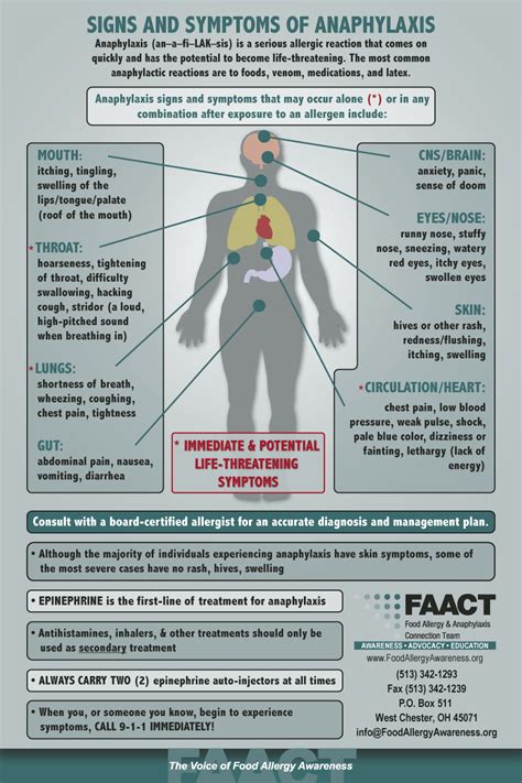 Signs And Symptoms Of Anaphylaxis Severe Food Allergy Reactions