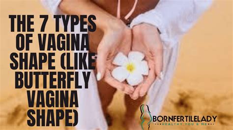 The Types Of Vagina Shape Like Butterfly Vagina Shape