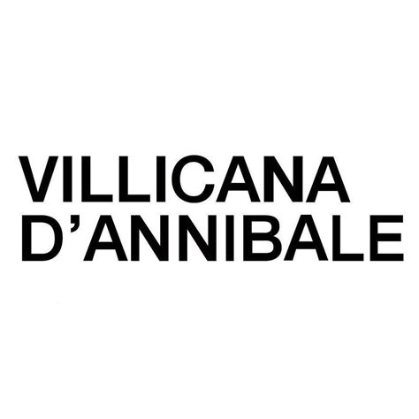 about danielle villicana d annibale