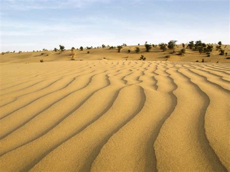 Desierto ¿cómo Se Forma Un Desierto Explicación Y Características