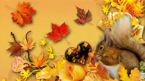 Happy Fall Squirrel Hd Desktop Wallpaper Widescreen High Definition