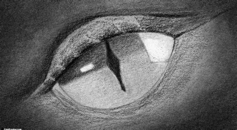 How To Draw A Dragon Eye Smaugs Eye