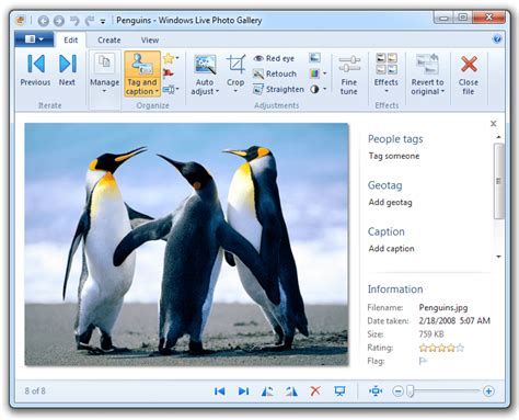 Learn How To Use Windows Live Photo Gallery 2011 Part 2 Pureinfotech