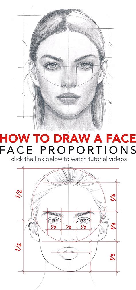 Find The Free Face Proportions Guidance In My Board How To Draw How I