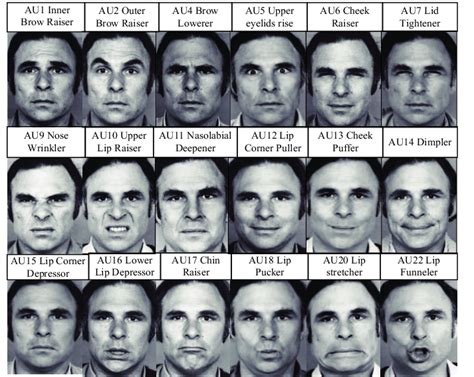 Reading Micro Expressions Guide