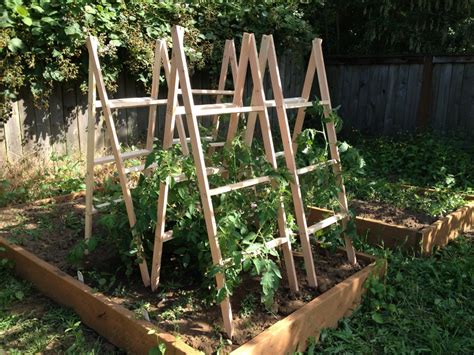 How To Make A Tomato Cage Yardyum Garden Plot Rentals