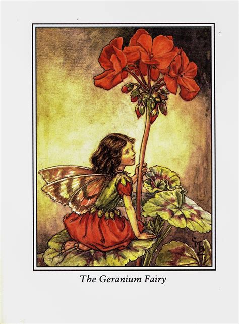 Flower Fairies Books Flower Fairy Fairy Original Sweet Pea Flowers