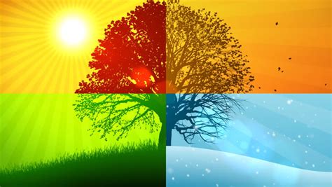 4 Seasons Composition Animated Background Stock Footage Video 710365