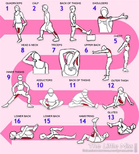 40 Charts Of Post Workout Stretches To Prevent Injuries