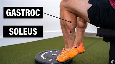 Calf Muscle Strain Injury Best Exercises For Rehab And How To Return
