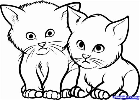 Cute kitten coloring page free printable. Newborn Kittens Coloring Pages - Coloring Home