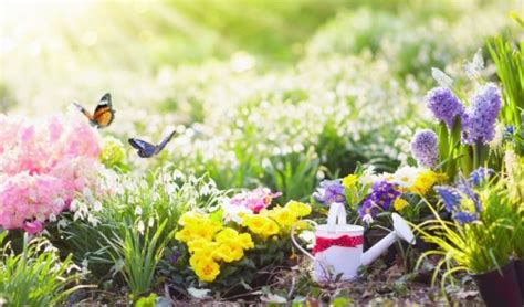 How To Prepare Your Garden In Spring For A Great Summer Lakeland Yard