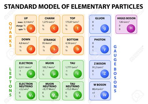 The Standard Model Of Particle Physics Infinity Peace