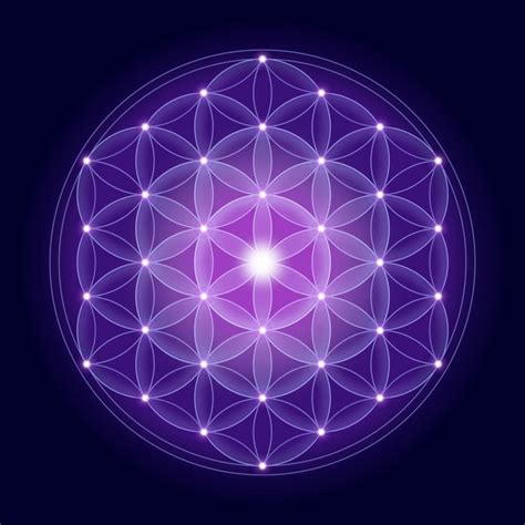 All 5 Flower Of Life How To Draw Advanced Guide 92023